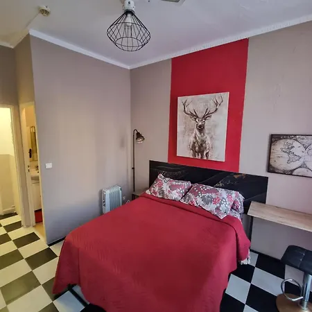 Hotel Des Allées 3*