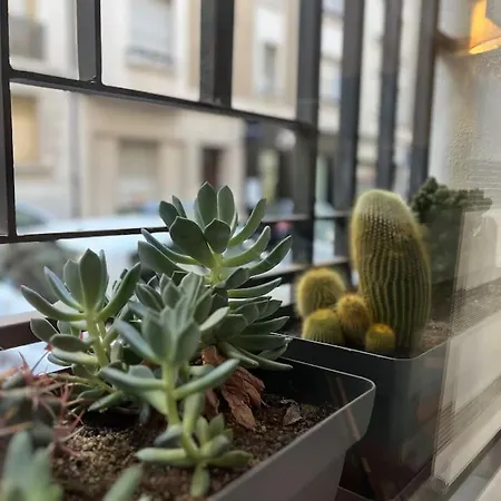 Apartment Studio Marseille