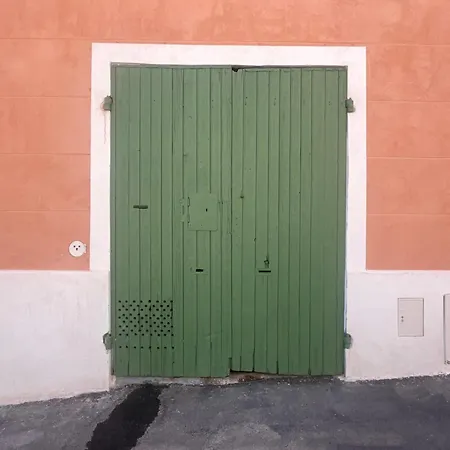 Atypique Et Nid Urbain