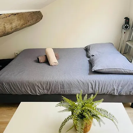 Joli Nid Douillet Au Vieux-port Marseille