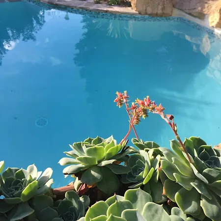 140 M2 Piscine Jardin 5 Personnes Et Un Bebe Marseille