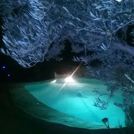 140 M2 Piscine Jardin 5 Personnes Et Un Bebe