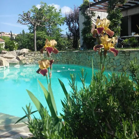 140 M2 Piscine Jardin 5 Personnes Et Un Bebe