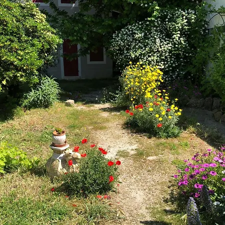Maison De Charme Classee 3 Etoiles - Calme, Jardin, Salle De Sport, Piscine * Marselha