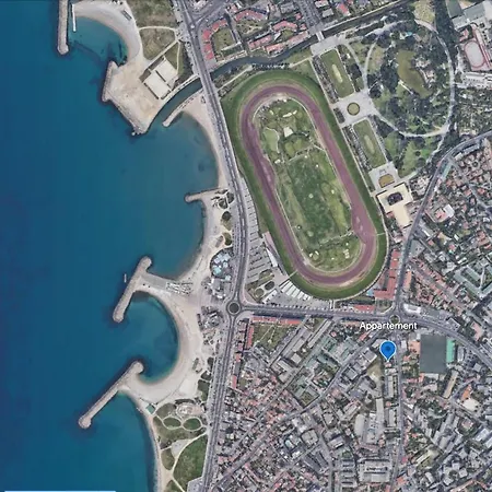Appartement Avec Jardin A 500m Des Plages Prado Borely