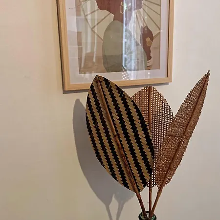 Appartement Grand T1 De 38 M2 Au Design épurée *
