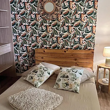 Appartement Grand T1 De 38 M2 Au Design épurée *