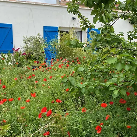 Maisonnette De Jardin 公寓 *