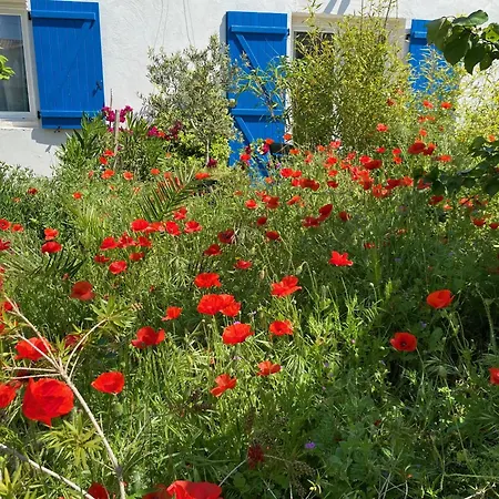 Maisonnette De Jardin 马赛