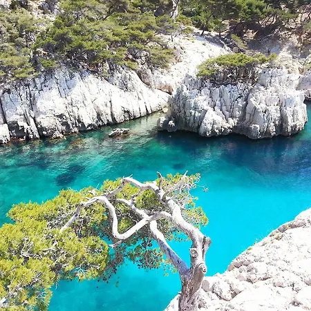 Oda ve Kahvaltı La Palmeraie 5*