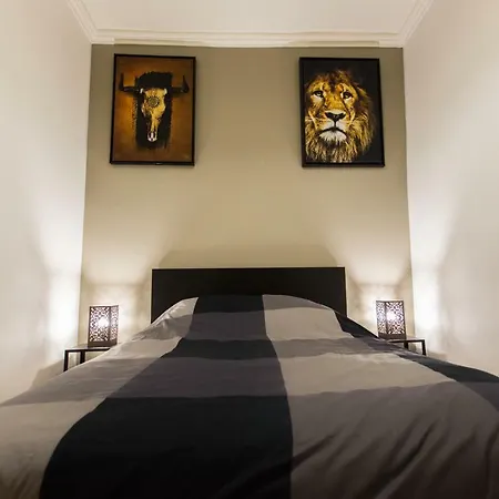 Apartment Spacieux Logement Au Coeur De Centre *