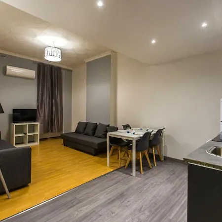 Spacieux Logement Au Coeur De Centre