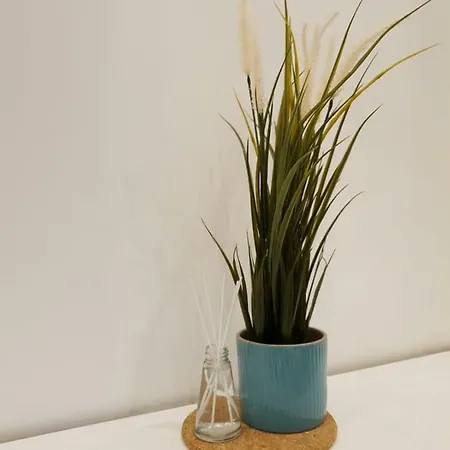 Loft Luxe Reforme Apartment Marseille
