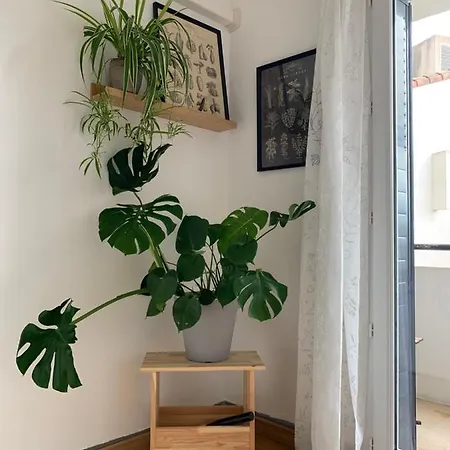 Entièrement Rénové, Ensoleillé, à 3mn De La Gare St Charles, Avec La Vue Sur Notre-dame De La Garde Appartement