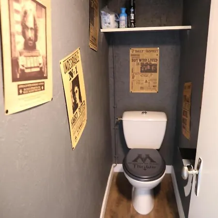 Harry Potter Experience