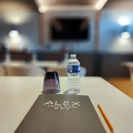 Hotel Alex &