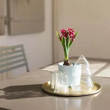 Maison De Roucas Blanc Hébergement de vacances
