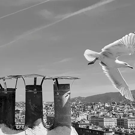 App-art Coeur Du Panier Vieux-port Vieille Charite Apartment Marseilles