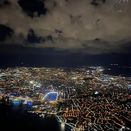 Grand Cedre Marseille