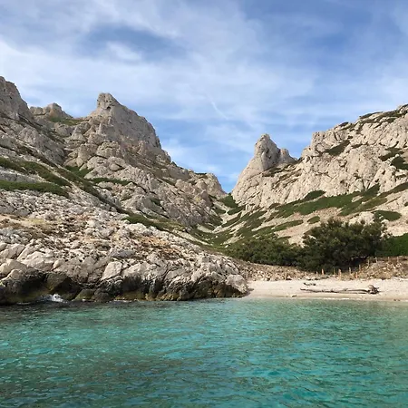 Grand Cedre Marseille