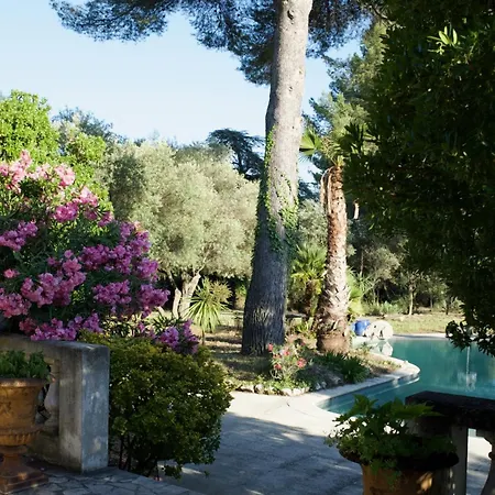 Villa Grand Cedre