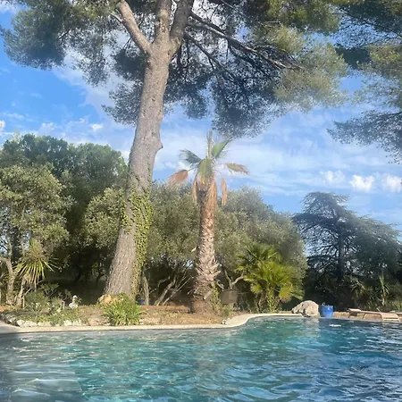 Grand Cedre Villa