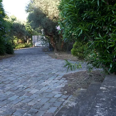 Grand Cedre Villa