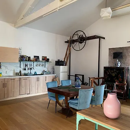 Loft Dans Quartier Branche Apartment