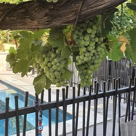 La Maison Provencale Avec Piscine * Marseille