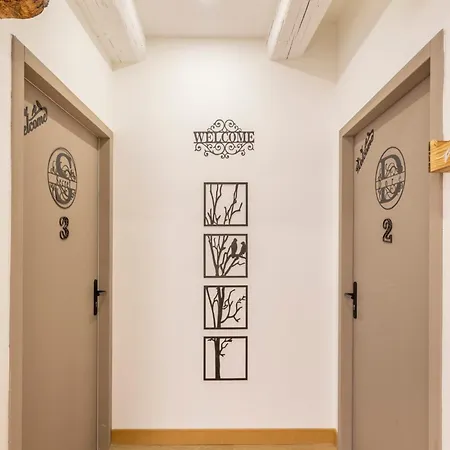 Apartment Adira Panier 2 Etoiles *
