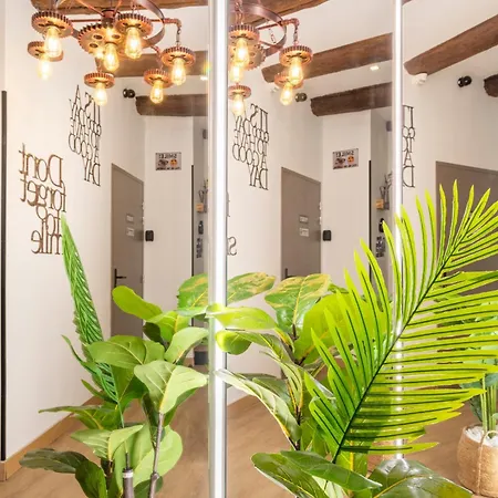 Apartment Adira Panier 2 Etoiles *
