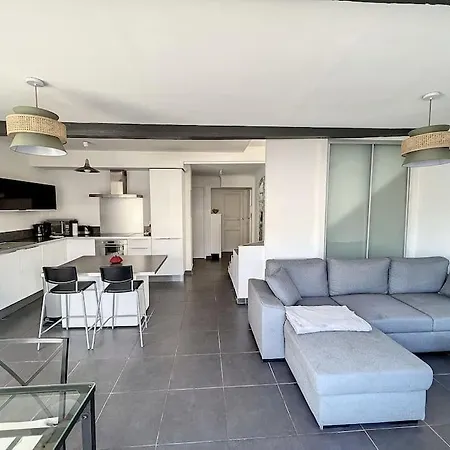 Tres Agreable T2 - Lumineux-toit Terrasse-centre *