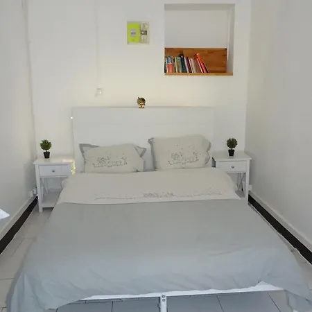 Joli T2 Refait A Neuf, Lumineux Et Accessible Appartement