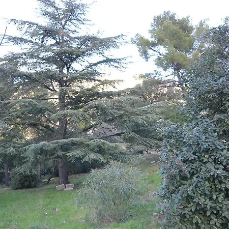 Chateau De L'aroumias
