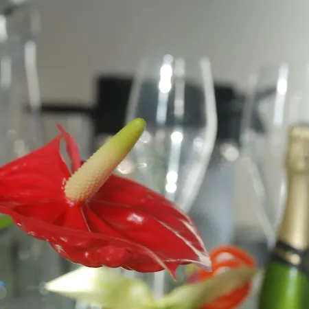 Apartment Prado Borely