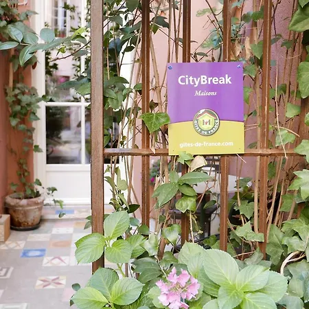 Vieux Port Panier Jardin *