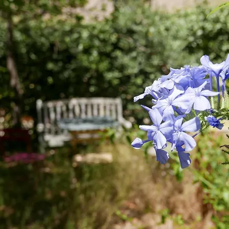 Gasthof Vieux Port Panier Jardin Marseilles