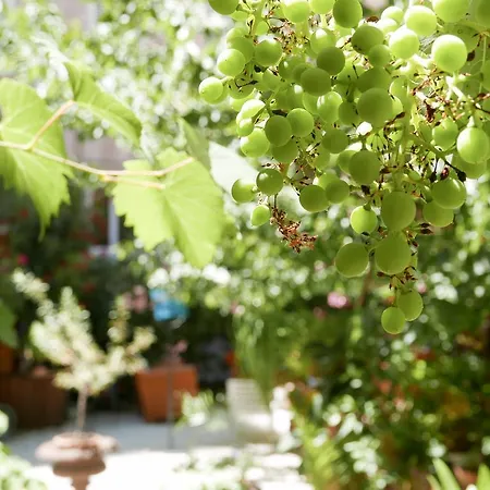Vieux Port Panier Jardin Marseilles