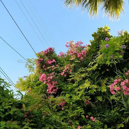 La Palmeraie Marselha